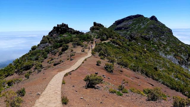 Vereda do Pico Ruivo Trail (PR1.2)