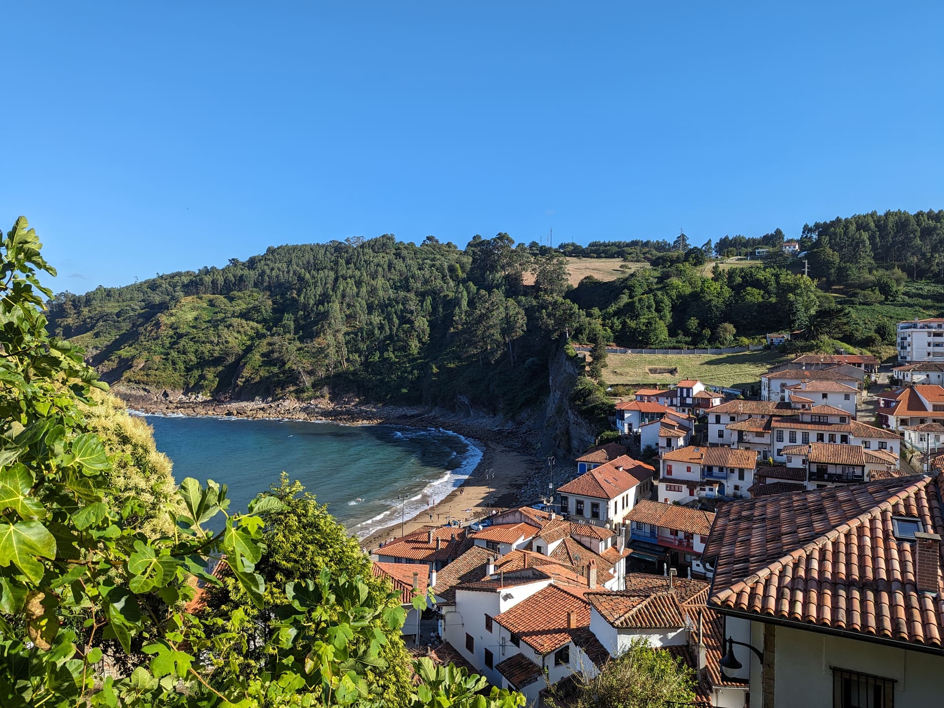 Tazones