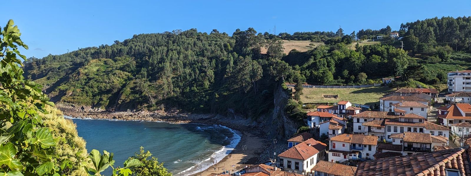 Tazones
