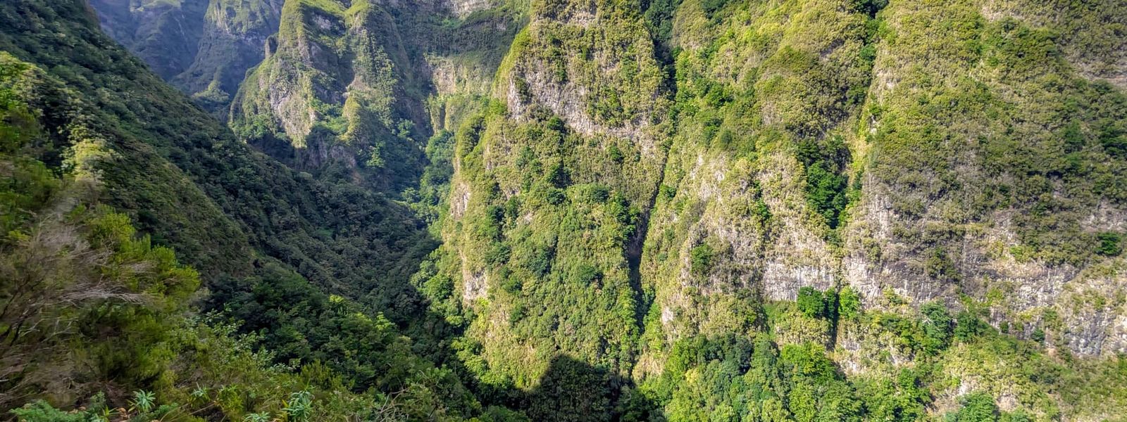 Levada do Caldeirão Verde Trail