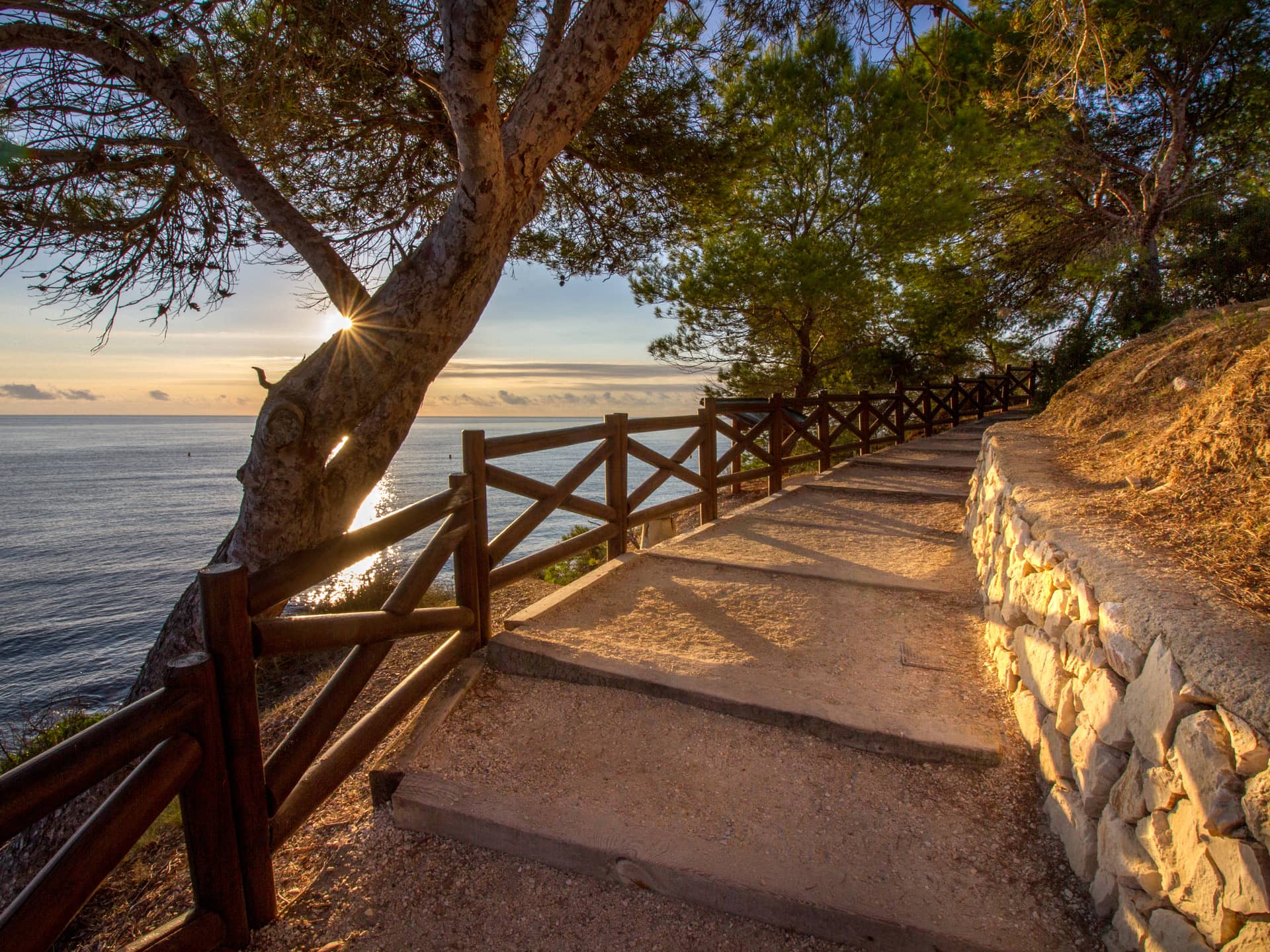 Екологічна стежка Беніси