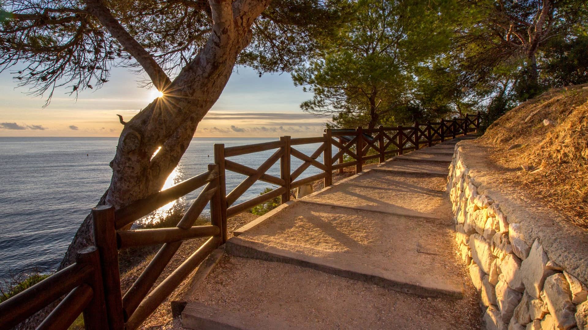 Екологічна стежка Беніси