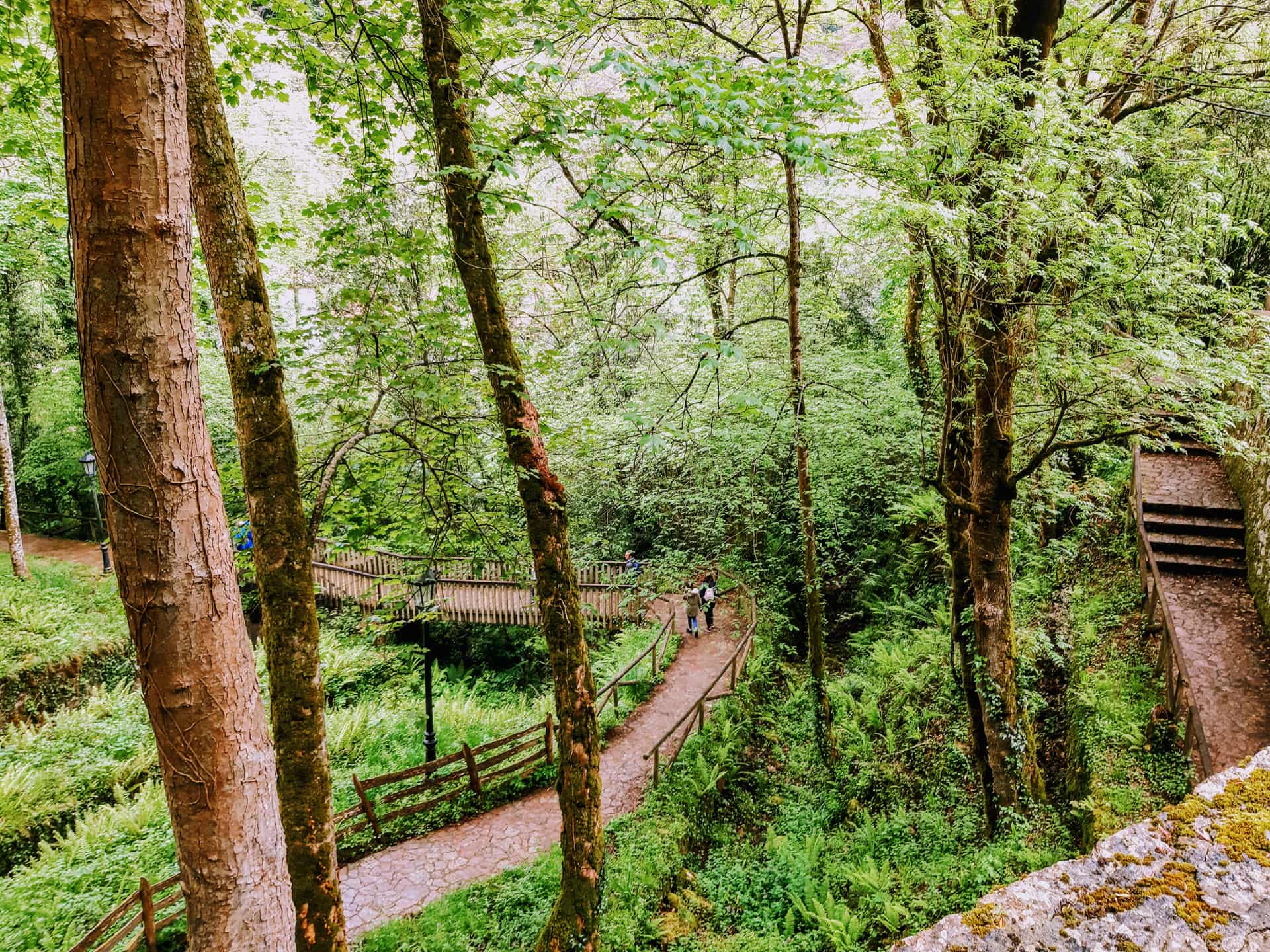 Сад Прінсіпе