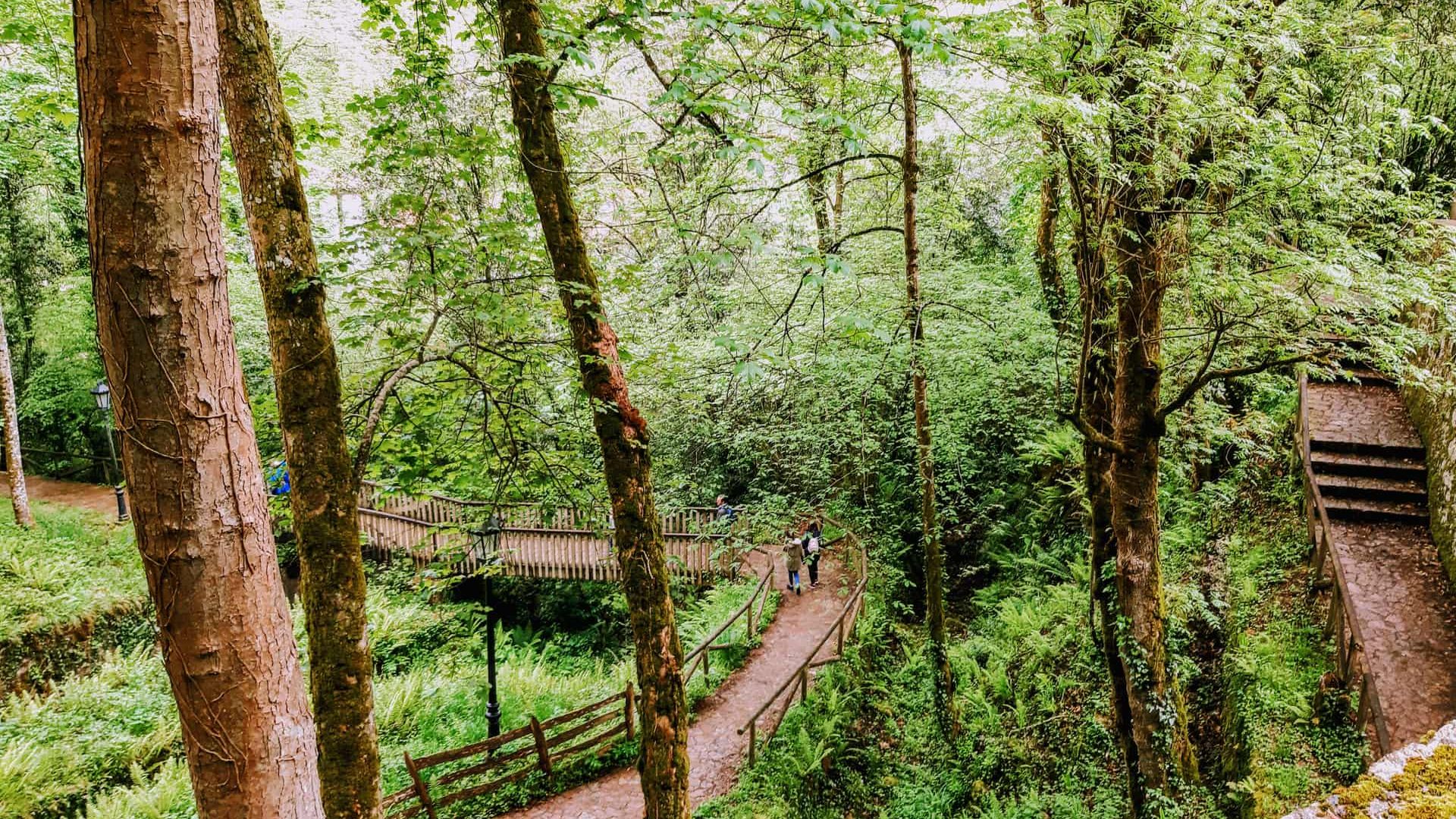 Сад Принсипе