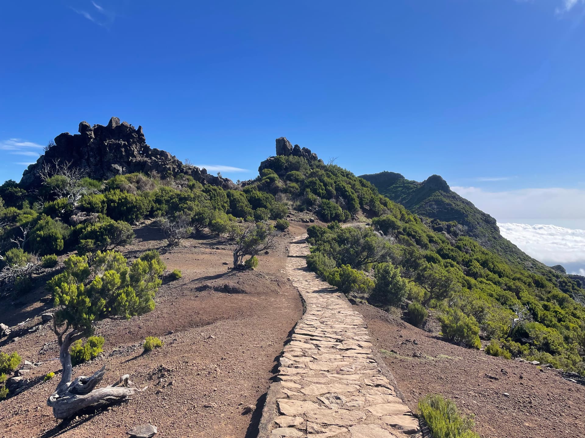 Vereda do Pico Ruivo (PR 1.2)