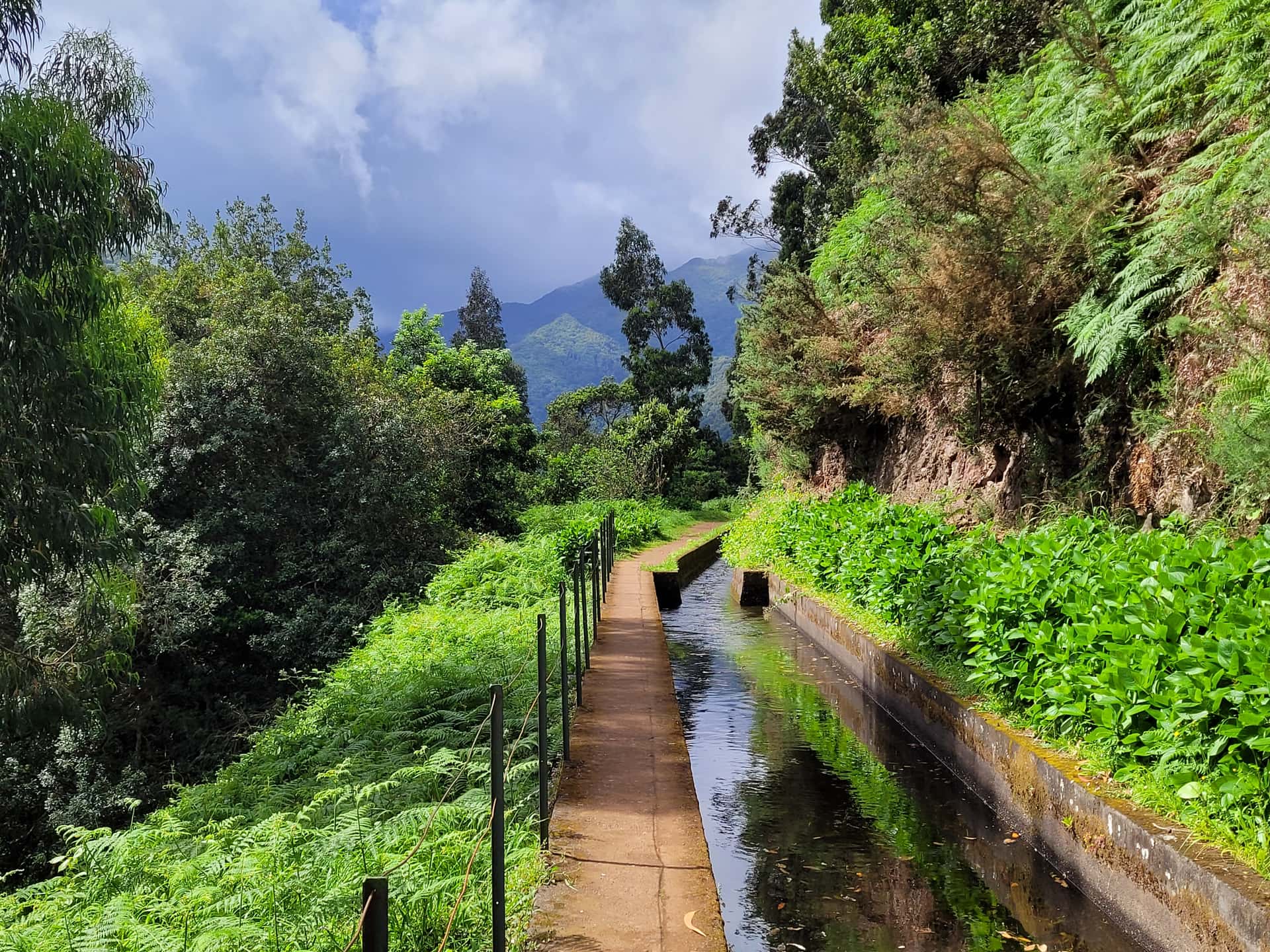 Левада Рибейра-да-Жанела