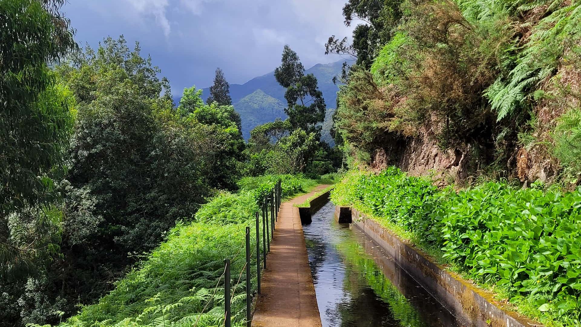 Левада Рибейра-да-Жанела