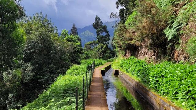 Левада Рибейра-да-Жанела