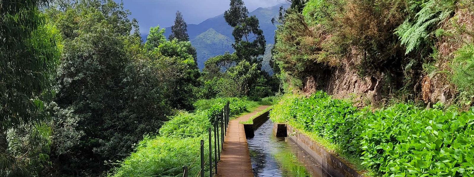 Levada of Ribeira da Janela