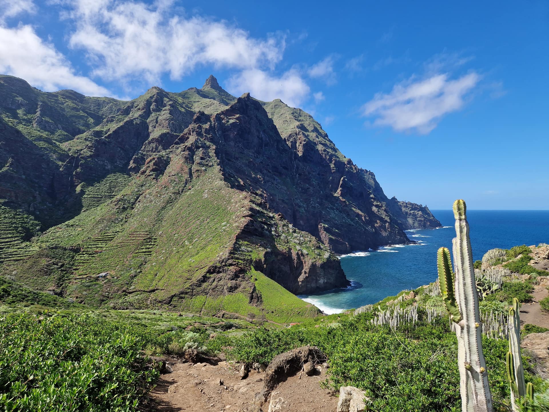 Оглядовий майданчик