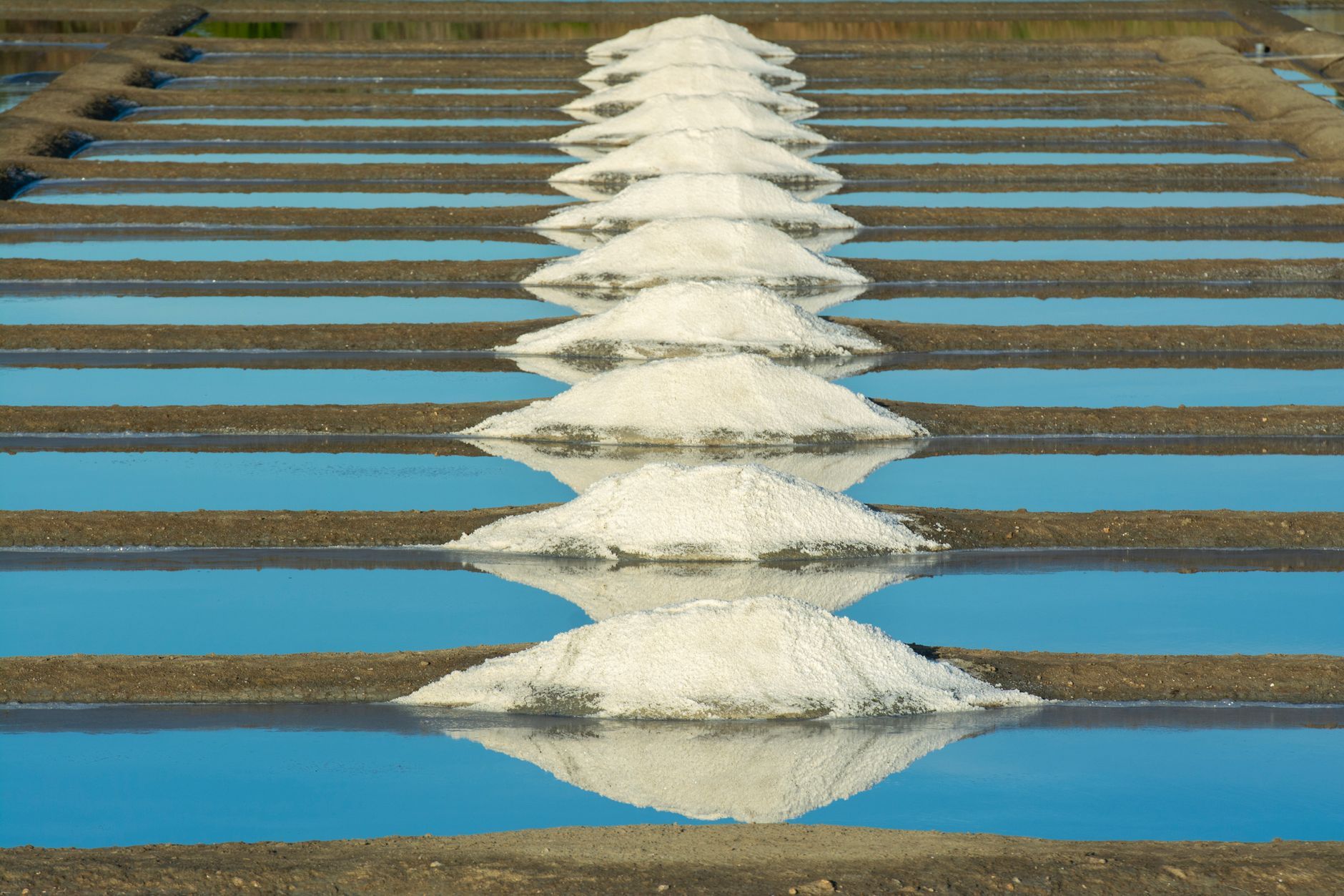 Parc Natural de ses Salines