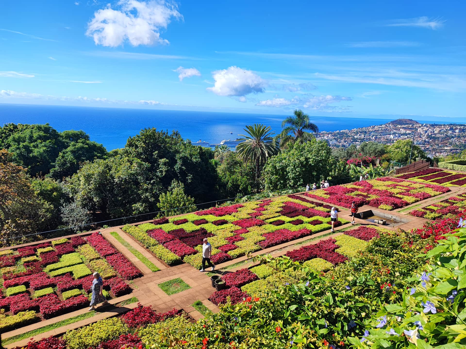 Ботанический сад Мадейры