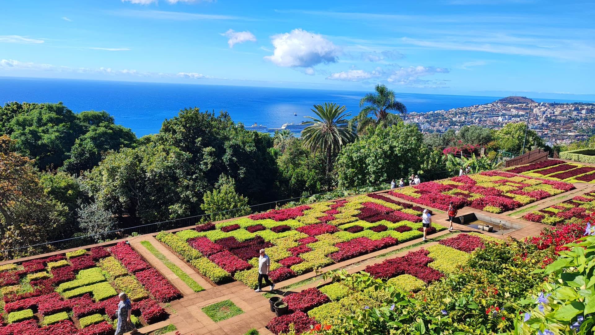 Ботанический сад Мадейры