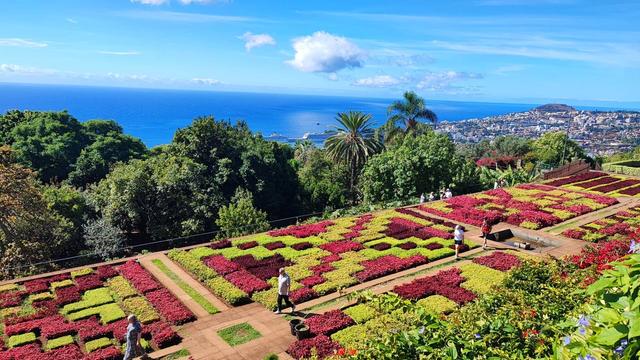 Ботанічний сад Мадейри