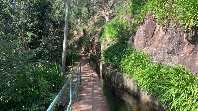 Levada of Ribeira da Janela