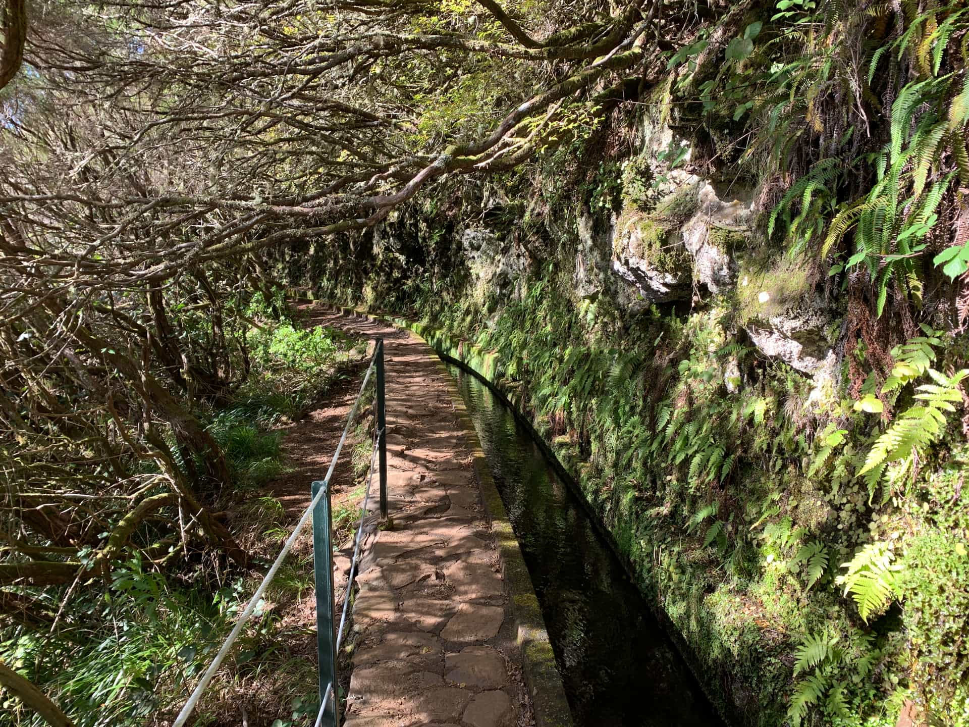 Тропа Левада-ду-Алекрим