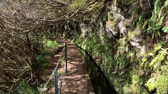 Тропа Левада-ду-Алекрим