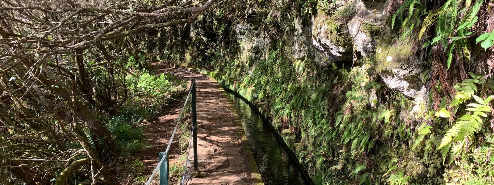 Levada do Alecrim