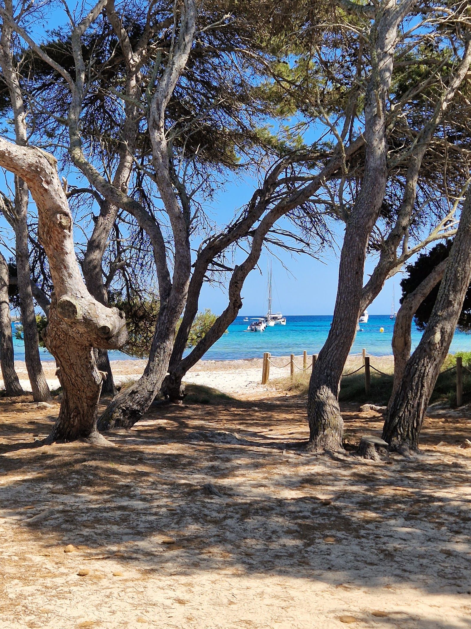 Playas de Son Saura