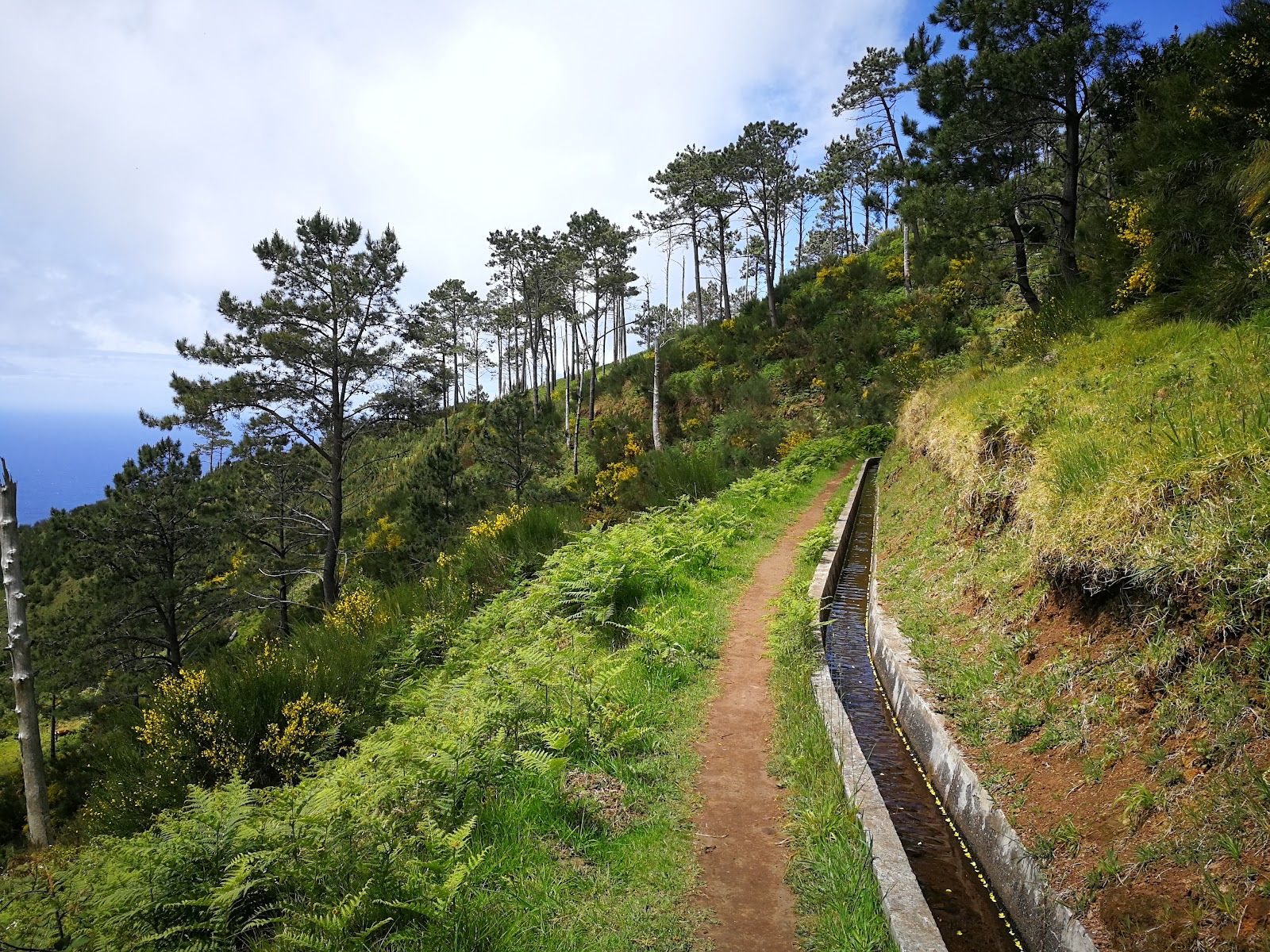 Levada da Ponta do Pargo