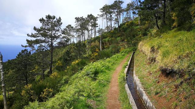 Levada da Ponta do Pargo