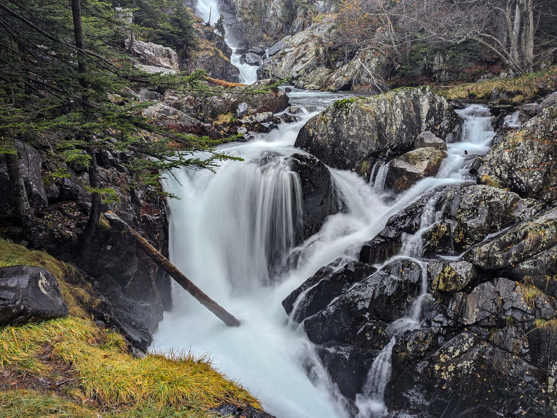 Горгас-де-Альба