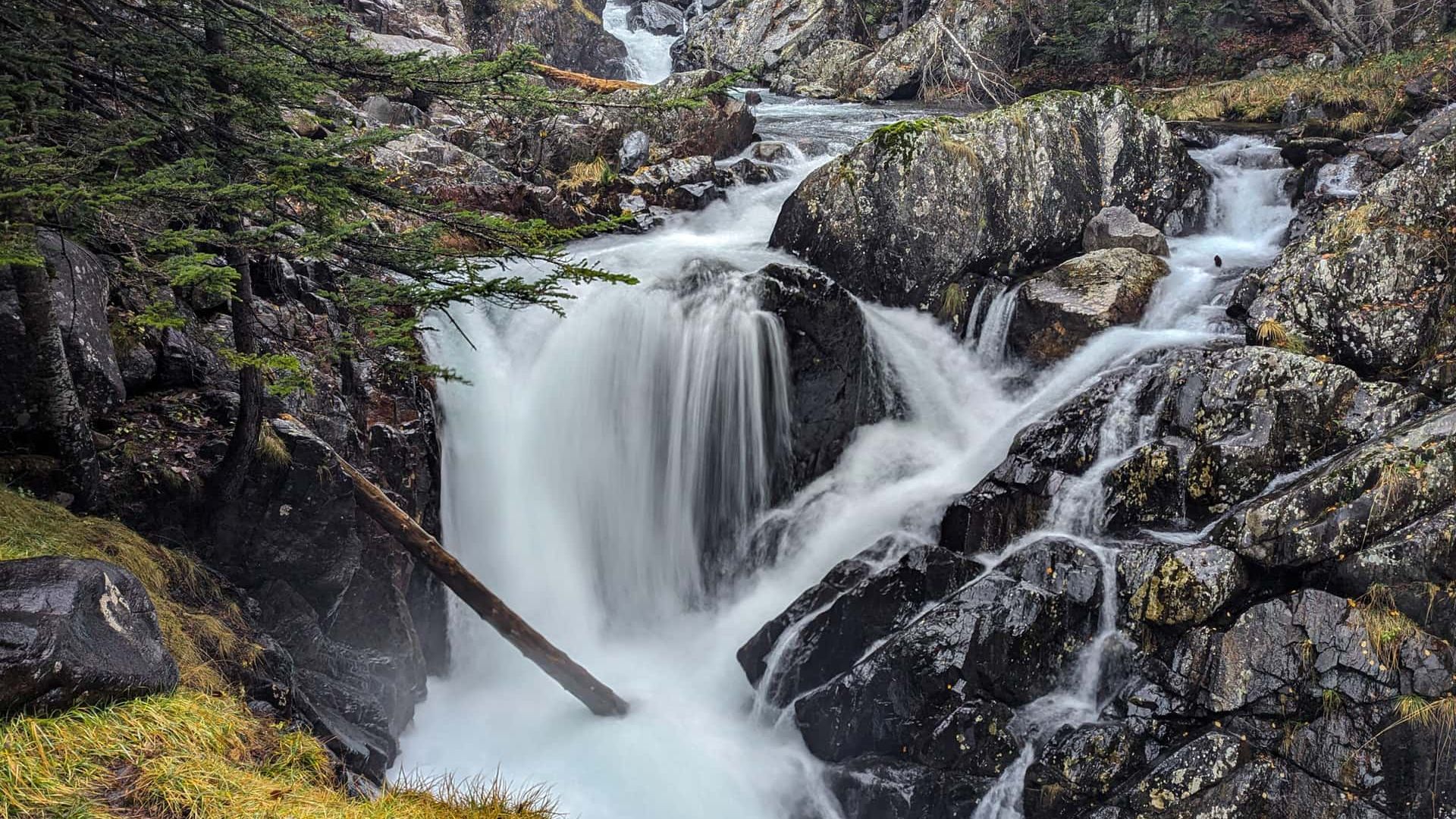 Горгас-де-Альба