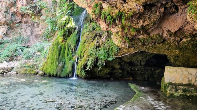 Джерело Лас-Донас