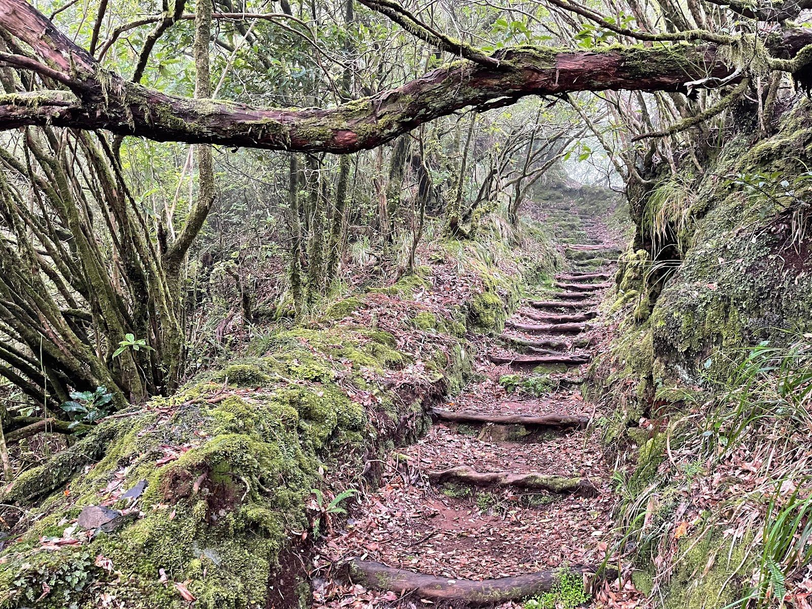 Cavaca Trail