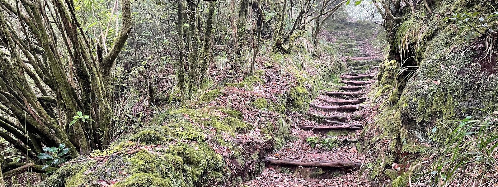 Cavaca Trail