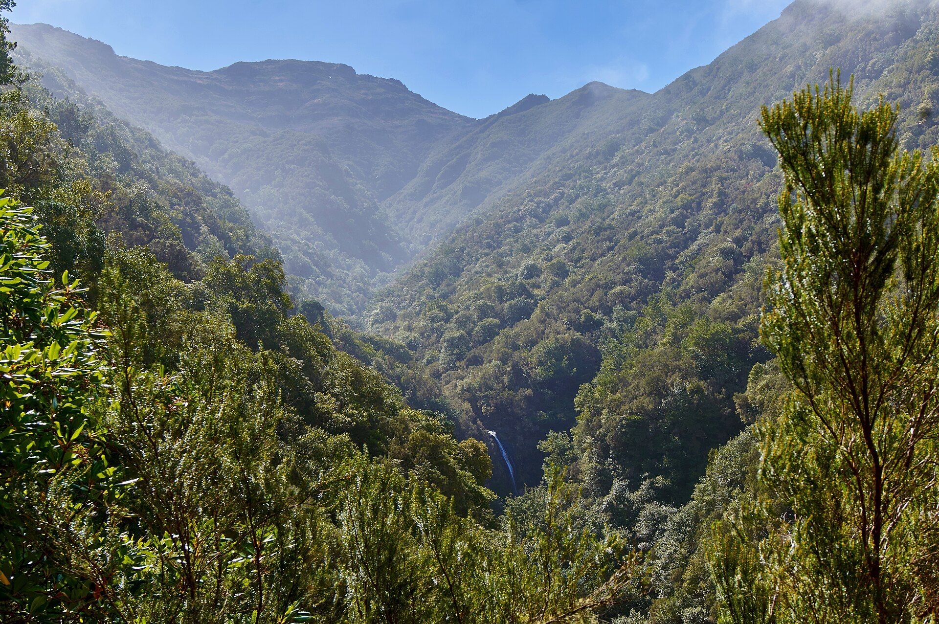 Madeira Natural Park