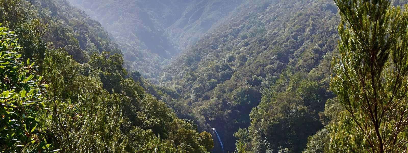 Madeira Natural Park