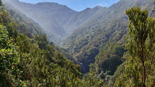 Madeira Natural Park