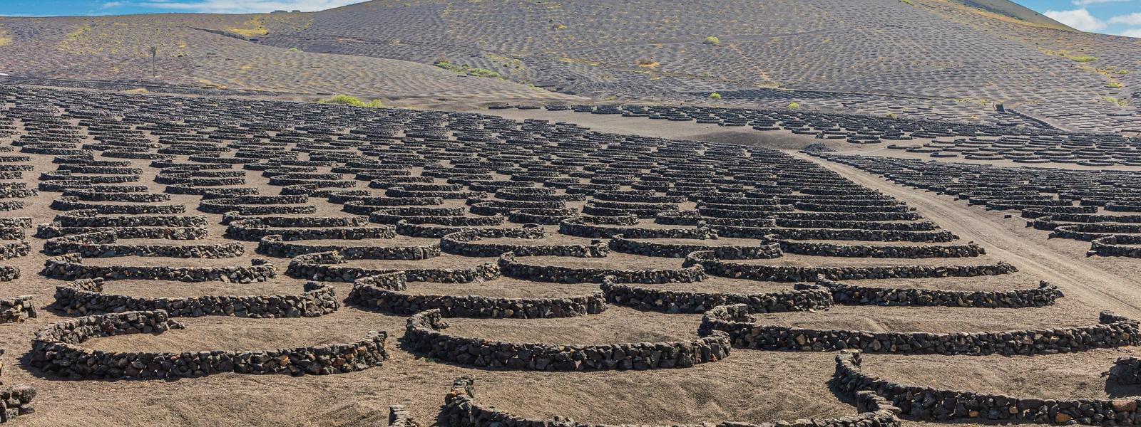 Lanzarote beyond the beaches: lava, caves and César Manrique