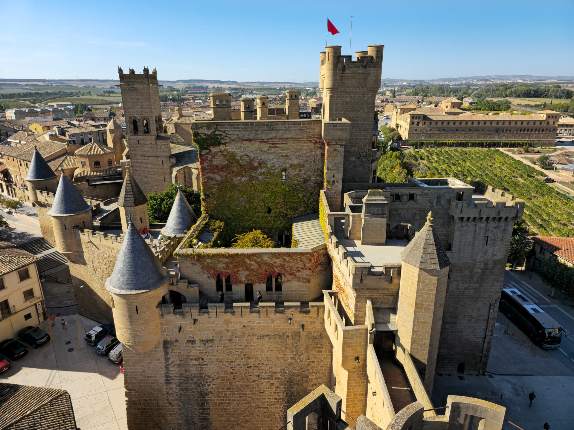 Королевский дворец Олите