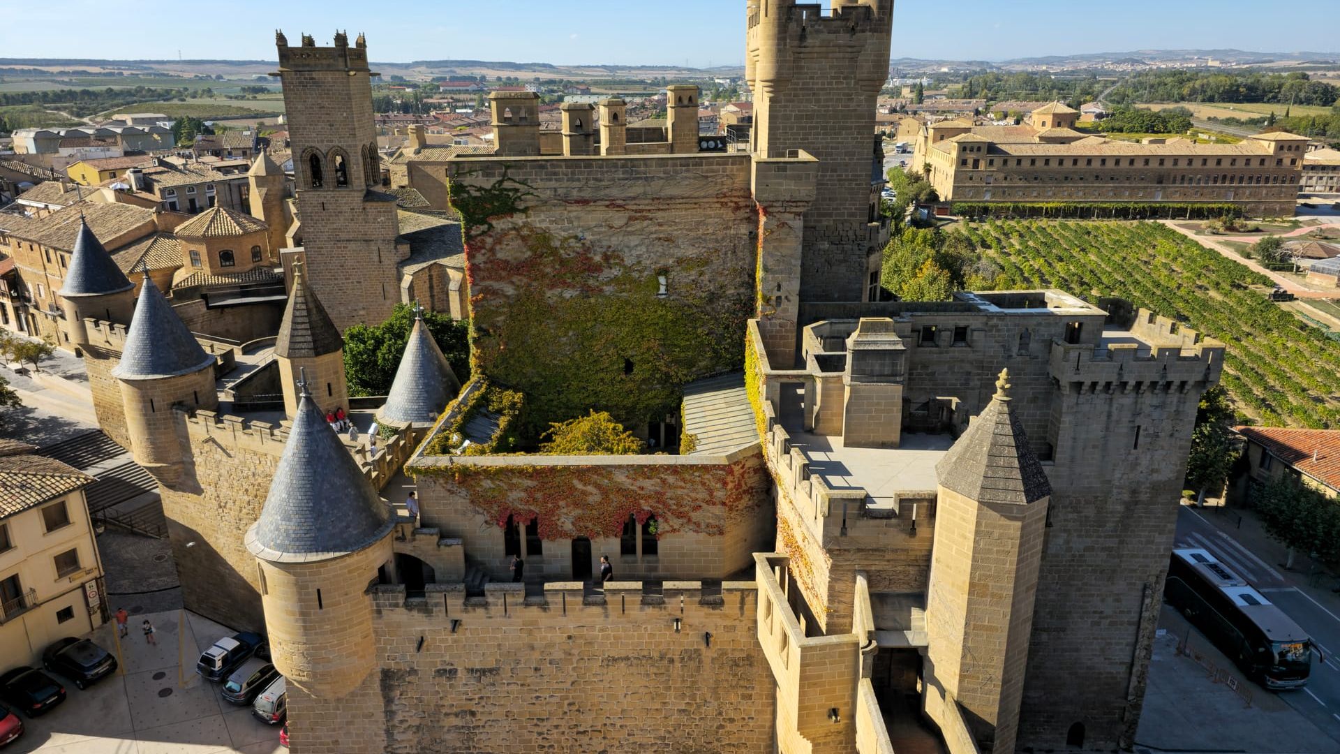 Королівський палац Оліте