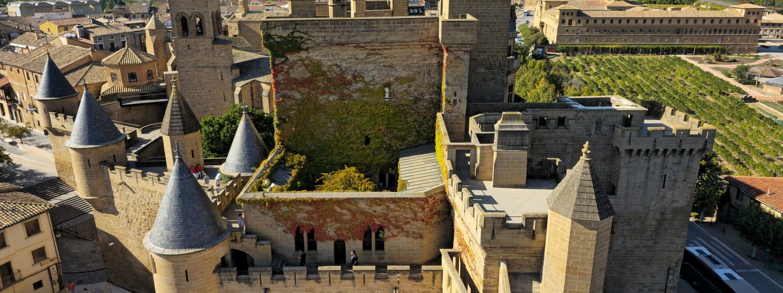 Royal Palace of Olite