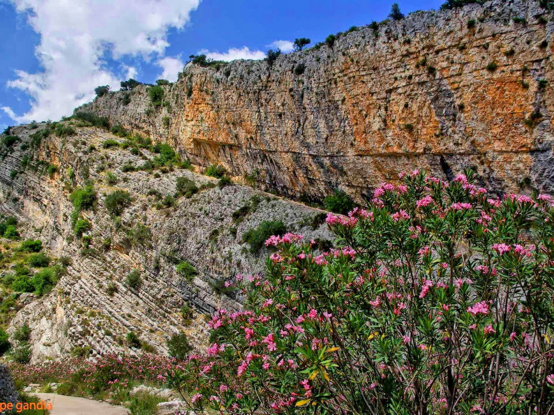 Ущелье Барранк-дель-Инферн