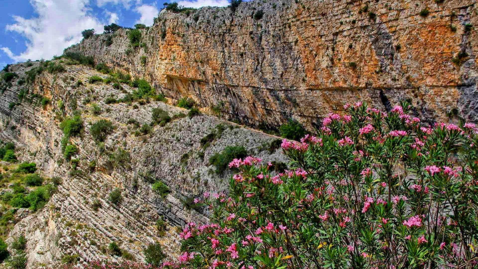 Ущелье Барранк-дель-Инферн