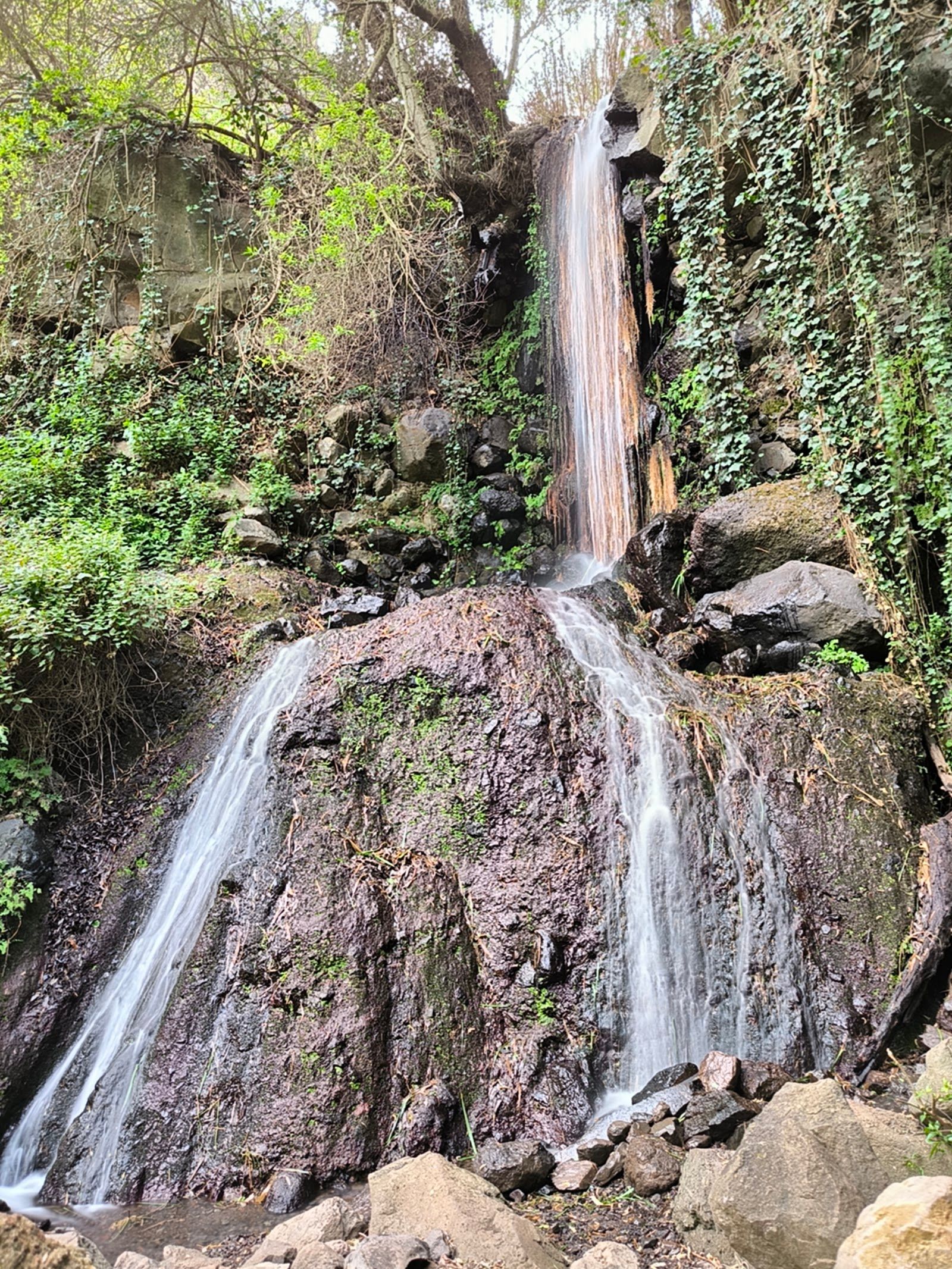 Los Cernicalos Ravine
