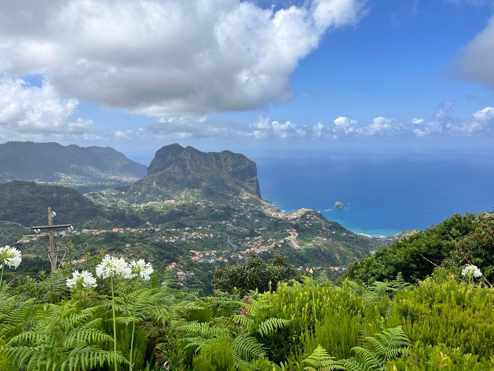 Portela Viewpoint
