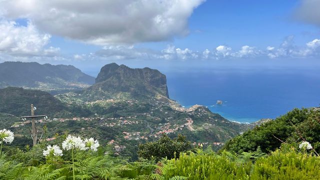Portela Viewpoint