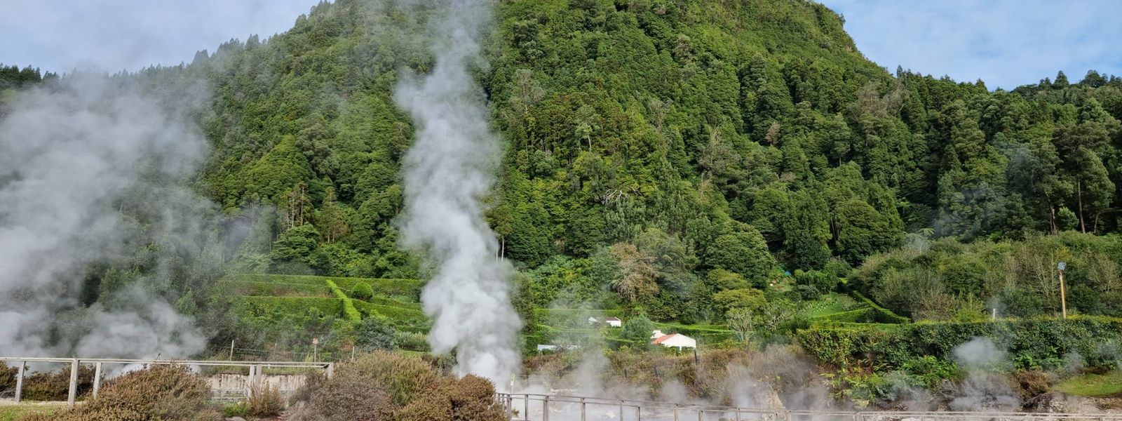 Geysers