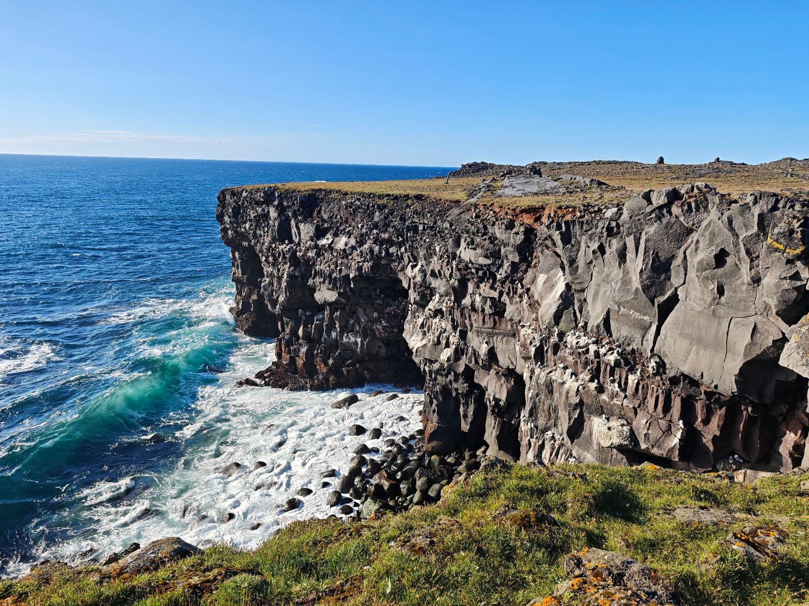 Hafnarberg Sea Cliffs