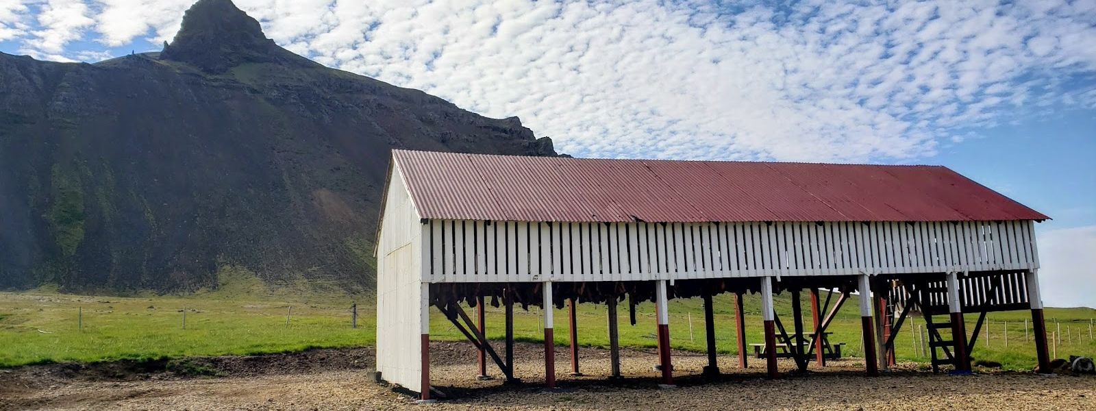 Bjarnarhöfn Shark Museum