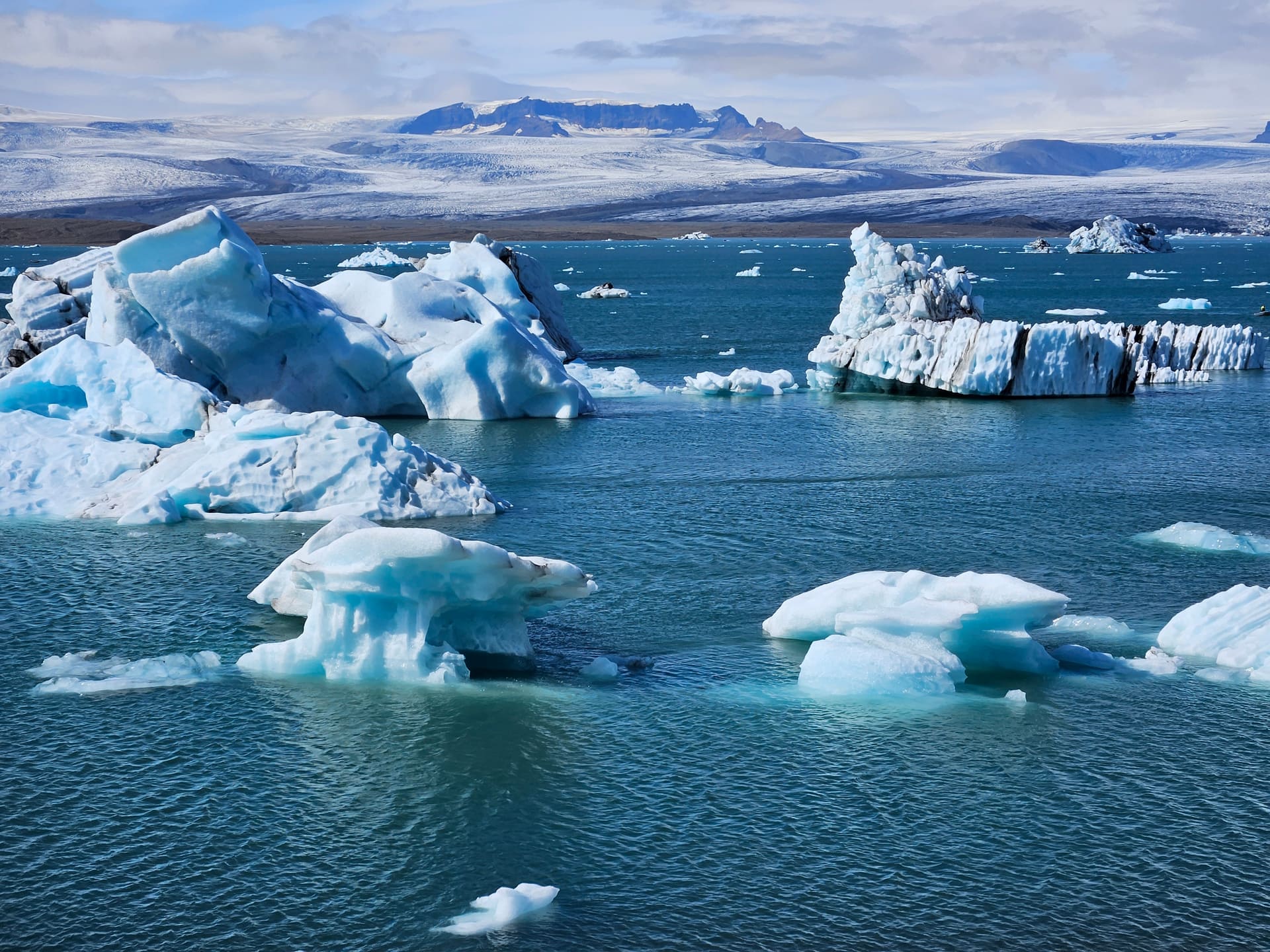 Fjallsárlón Iceberg Lagoon