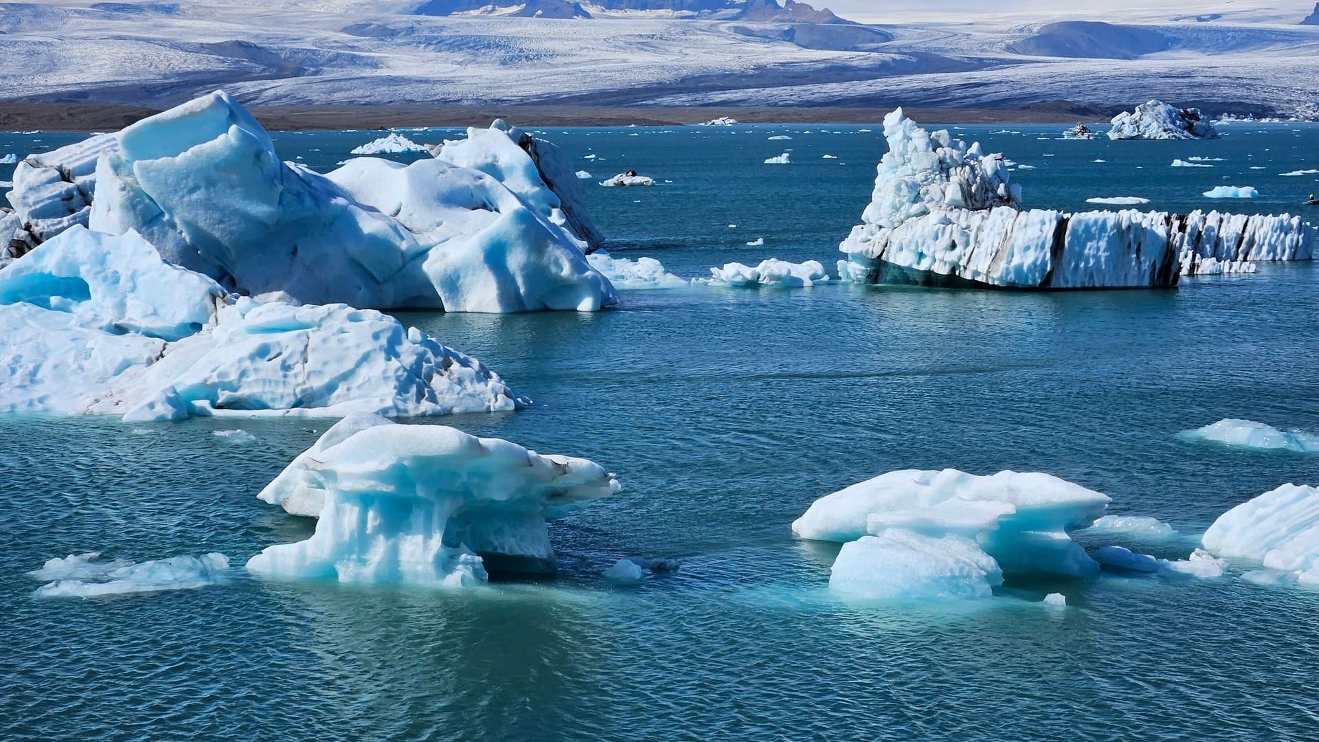 Fjallsárlón Iceberg Lagoon