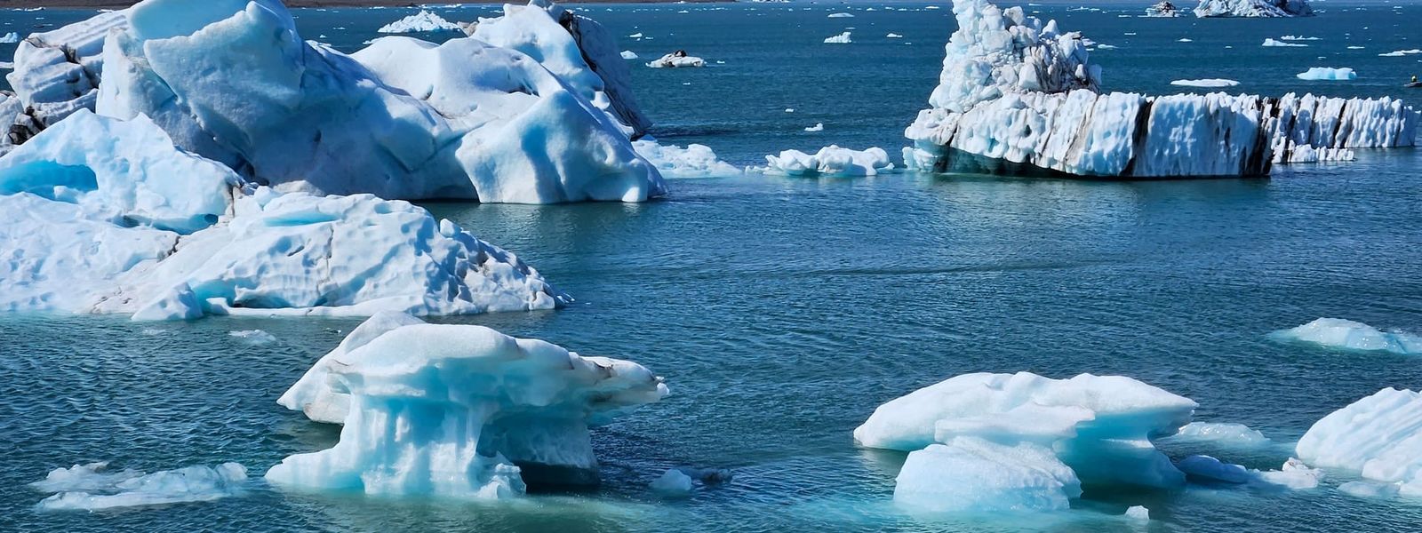 Fjallsárlón Iceberg Lagoon