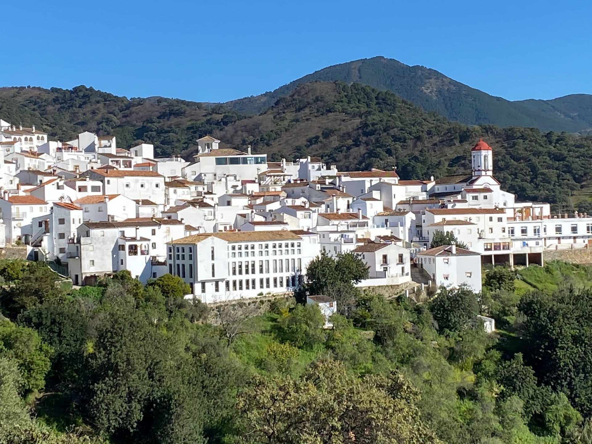 Хенальгуасиль