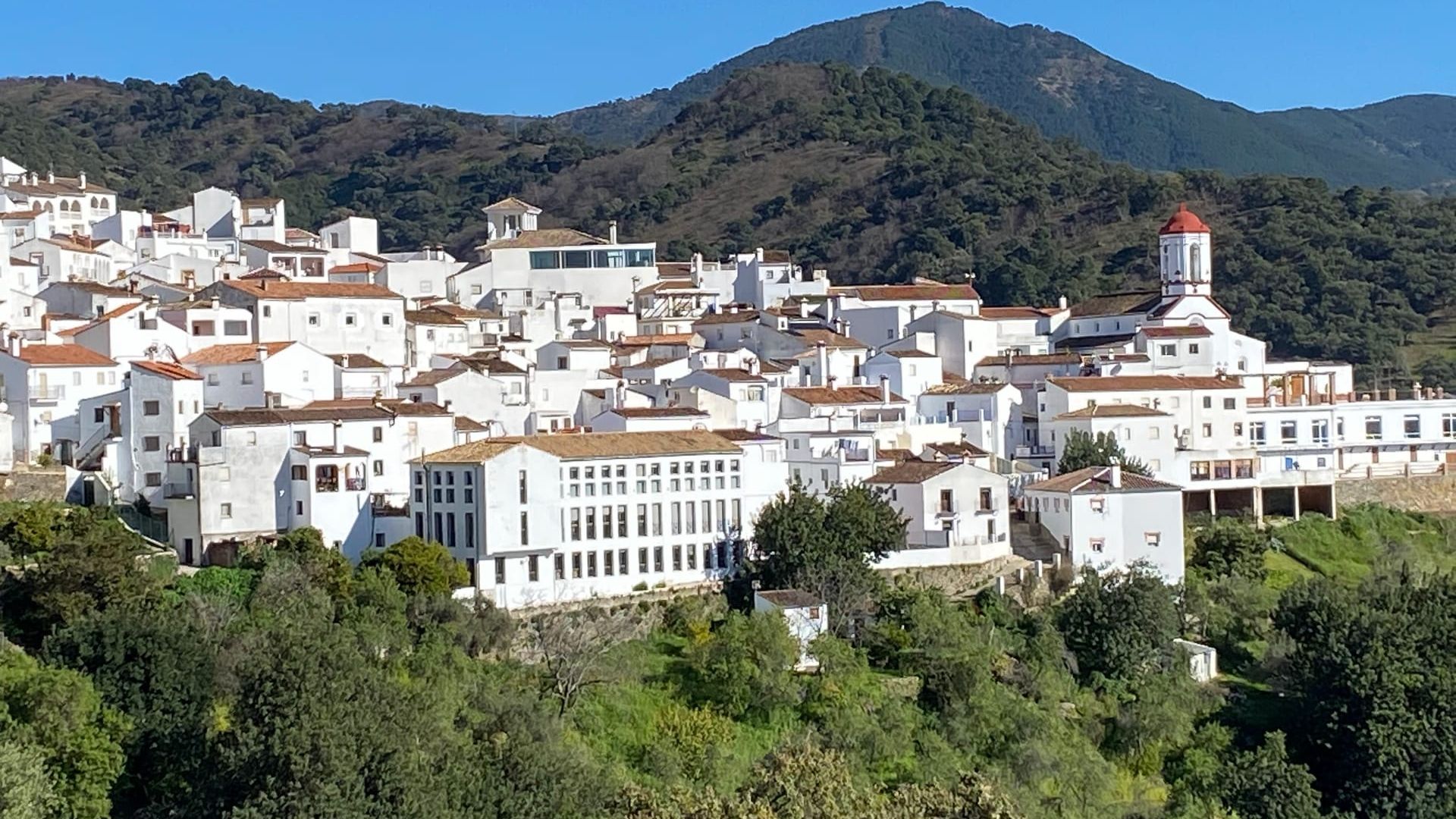 Хенальгуасиль